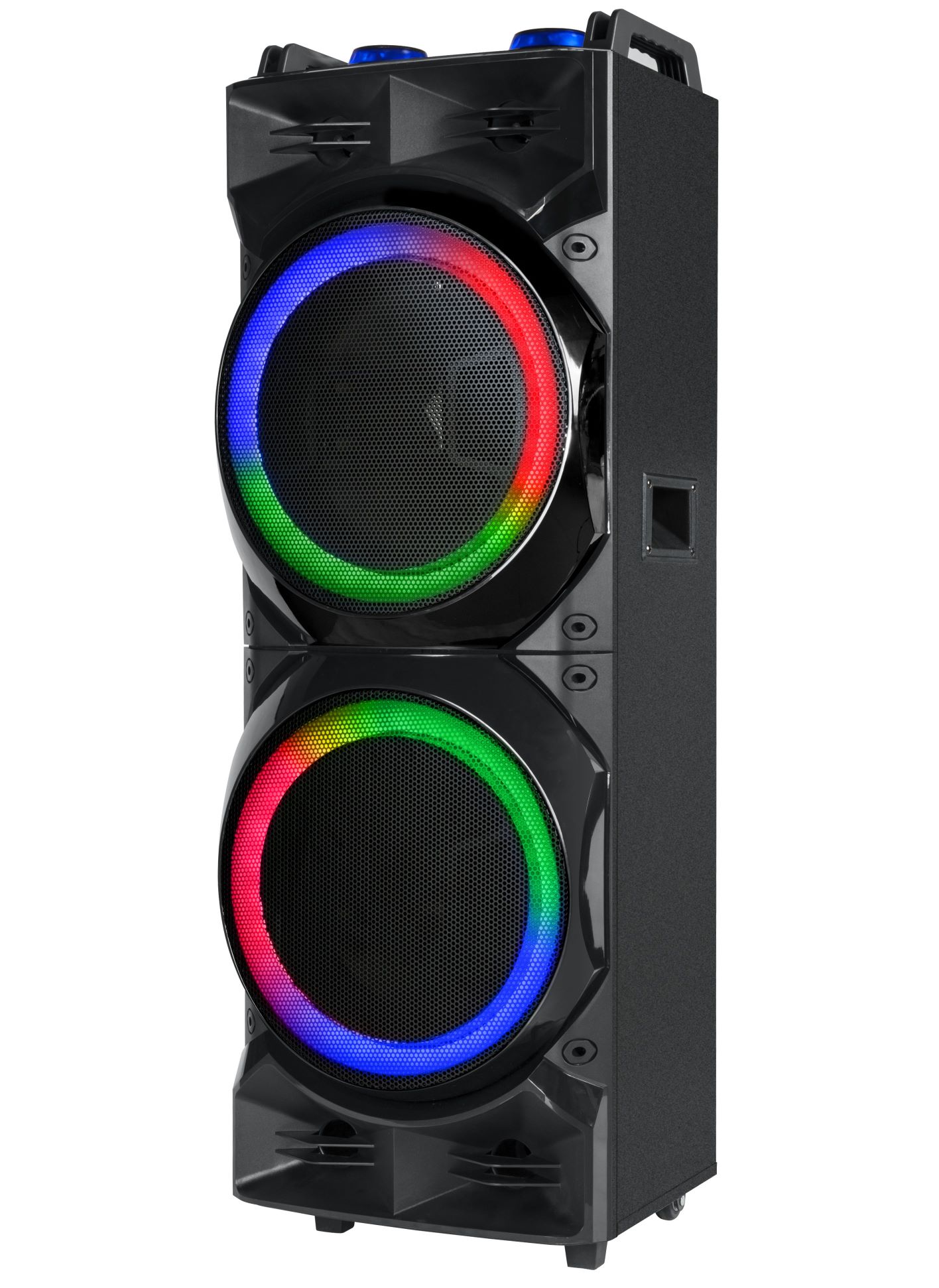 EXOTIC 2x12" Series Speaker