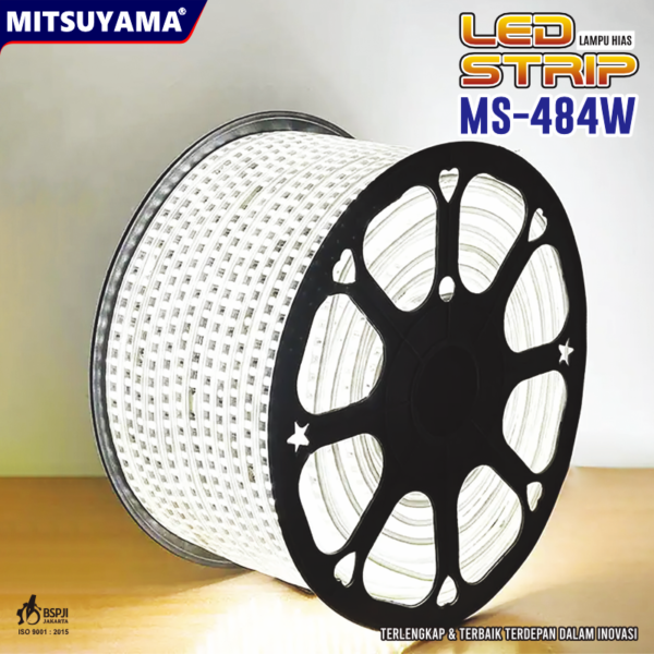 Lampu Hias 100 Meter 60 LED/M MS-484